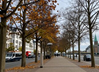 Jahreszeiten in Düsseldorf: Entdecken Sie die Vielfalt der Stadt