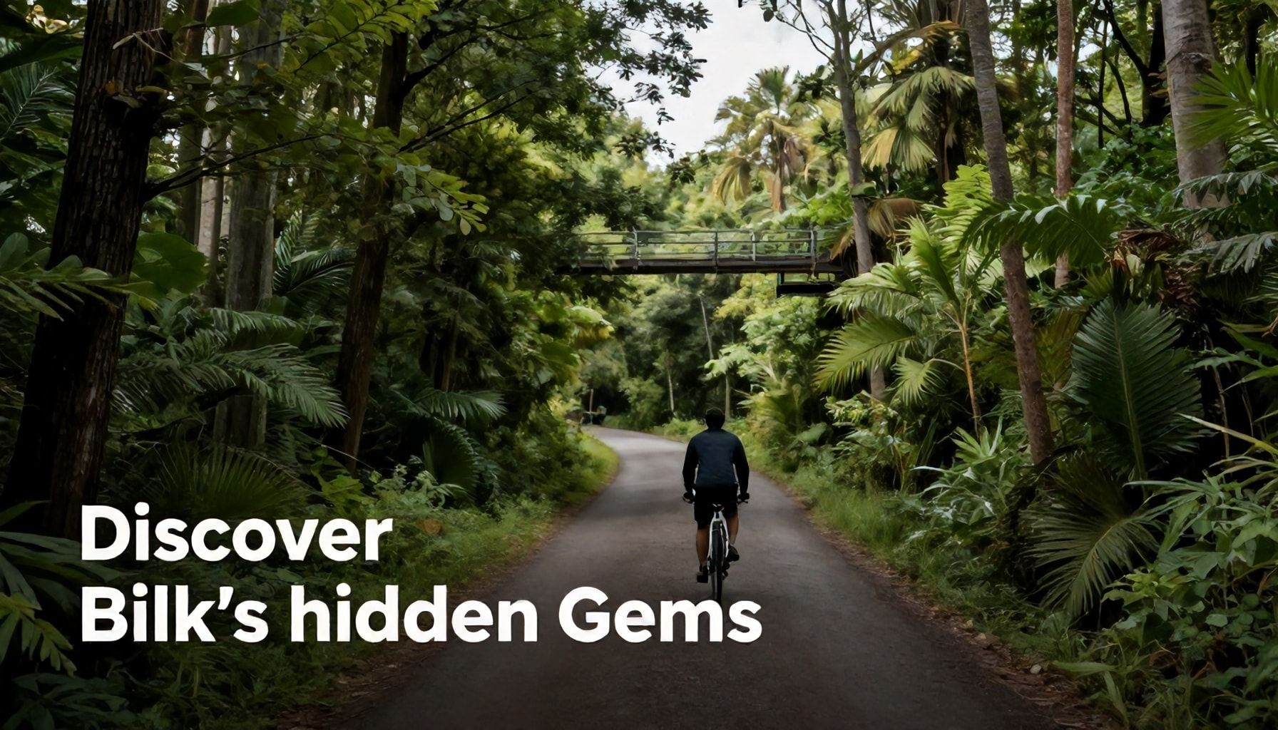So entdecken Sie Bilks versteckte Juwelen – ein Guide für Neugierige*