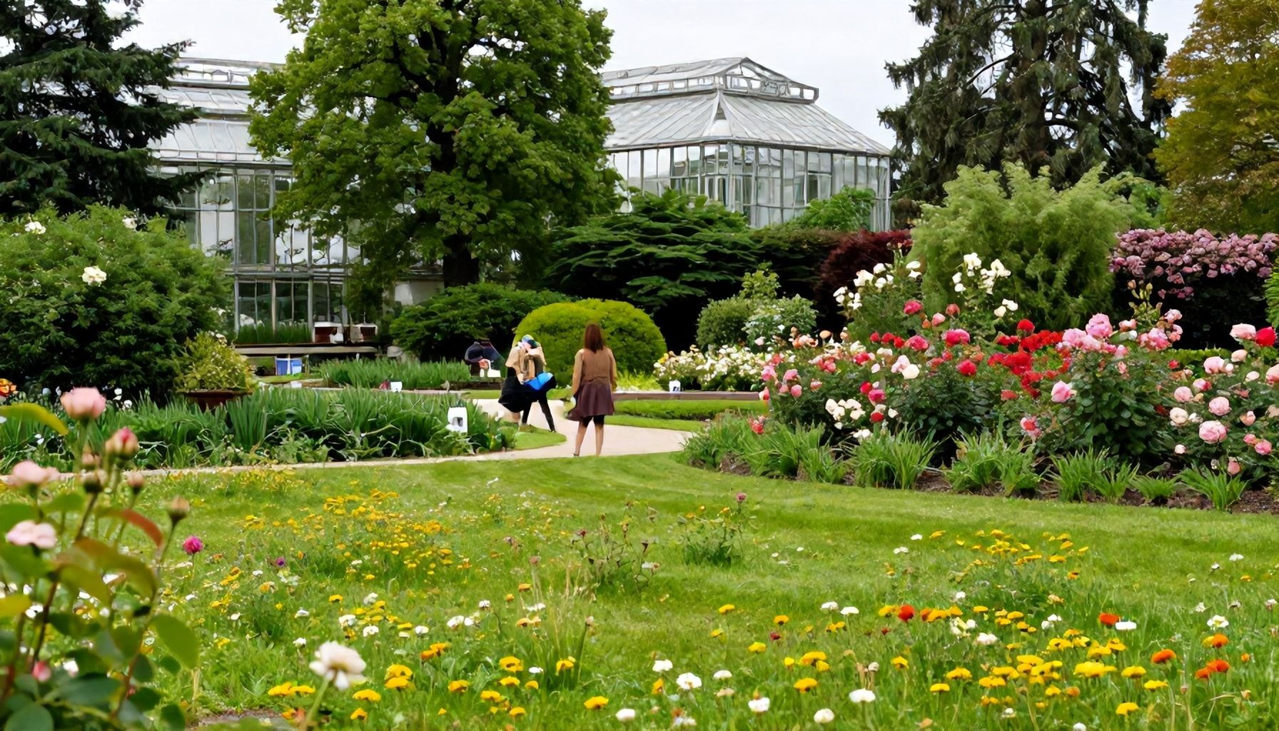 So planen Sie Ihren perfekten Tag im Botanischen Garten Düsseldorf – Schritt für Schritt*