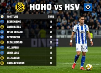 Fortuna Düsseldorf vs. HSV: Aktuelle Tabelle und Teilnehmer im Vergleich