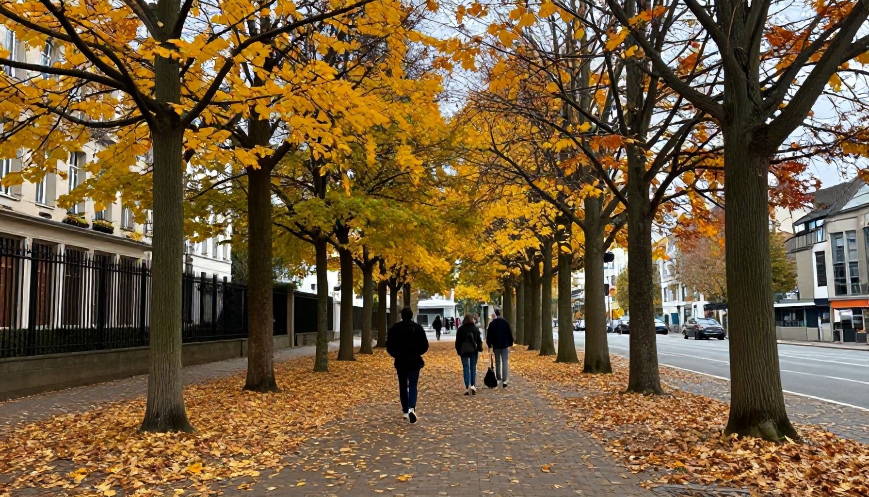 Warum der Herbst in Düsseldorf Ihr neues Lieblingsjahrzeitsgefühl wird*