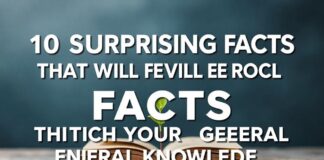 10 Überraschende Fakten, die Ihr Allgemeinwissen bereichern 10 Surprising Facts That Will Enrich Your General Knowledge